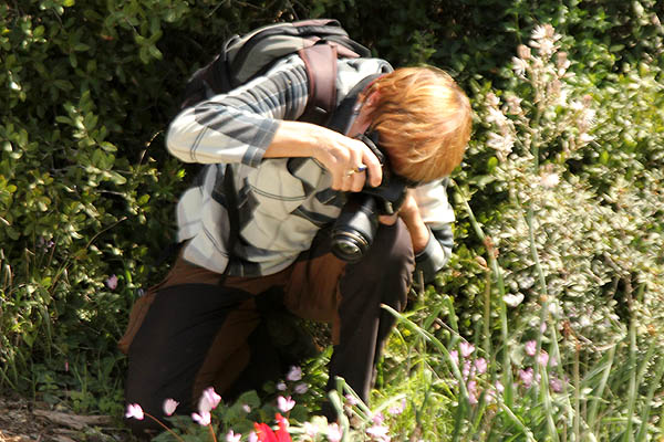 Flowers in Israel, photographer, Gad Hills