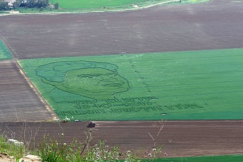  field drawing from Peter Weiner in the fields of Kibbutz Tel Yosef