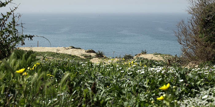 Sharon Beach National Park