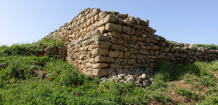 Flora, Israel, send flowers online