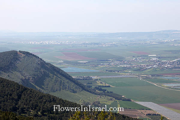 Gilboa, Mount Saul, Tel Kholila