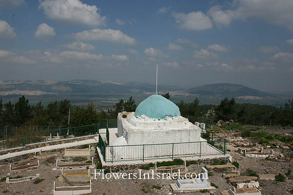 Shrine of Nebi Dahi on Little Hermon