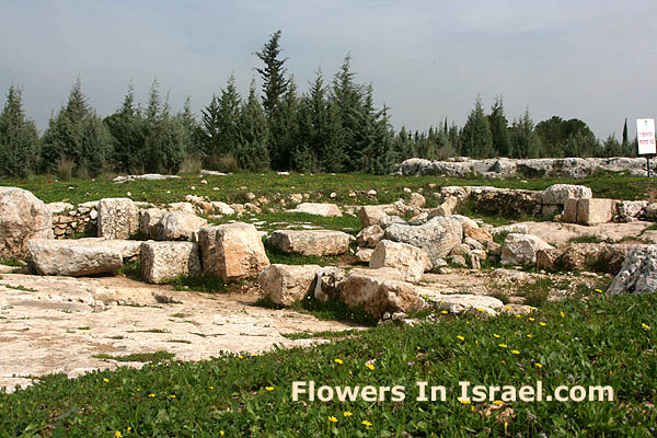 Shoham Forest, Byzantine church St.Bacchus