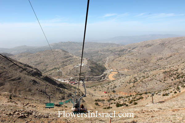 Mount Hermon, 